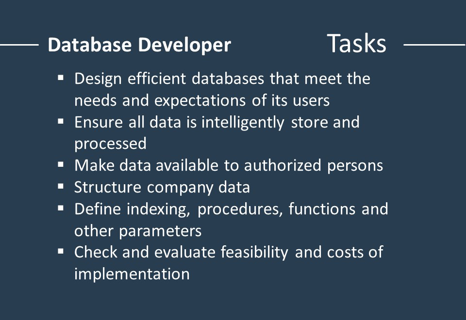 Database Developer